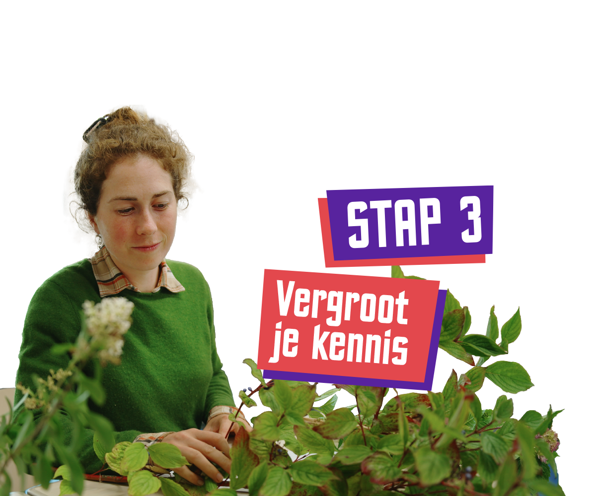 Stap 3 - Vergroot je kennis